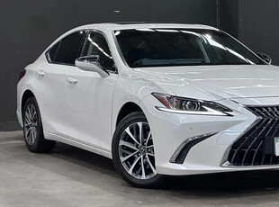 2022 Lexus ES ES250 Luxury Sedan