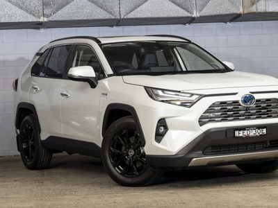 2024 Toyota RAV4 Cruiser