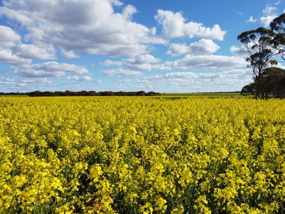 Moorine Rock, WA 6425