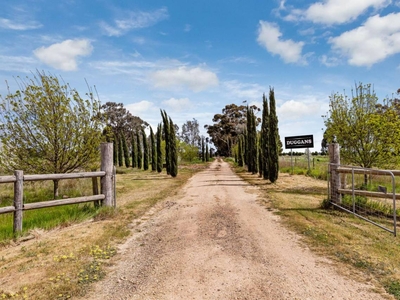 279 Oswalds Road Campbells Forest VIC 3556