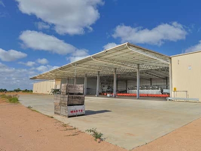 99 Link Road , Mourquong, NSW 2739