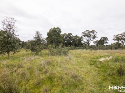 Lot 45 Sims Lane, Homebush, VIC 3465