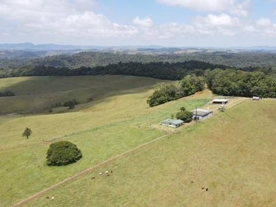 CATTLE FATTENING OPERATION WITH 3 BEDROOM HOMESTEAD Westcott Road Topaz QLD 4885