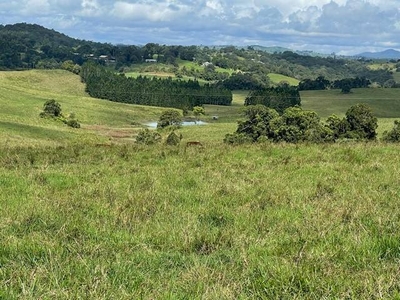 VERY PICTURESQUE CATTLE STUD OR FATTENING, ATHERTON TABLELANDS Seamark Road Tarzali QLD 4885