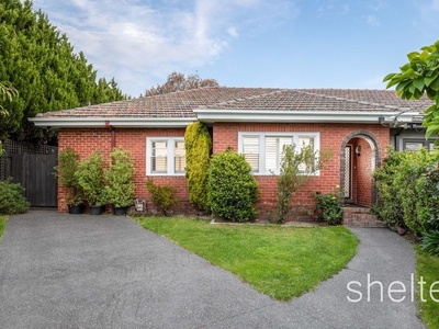 20 Nash Street, Glen Iris, VIC 3146