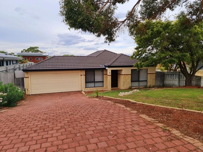 63 Lithgow Drive, Clarkson WA 6030 - House For Lease