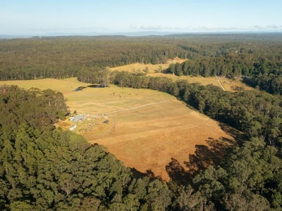 D1590A Princes Highway, Tomerong, NSW 2540