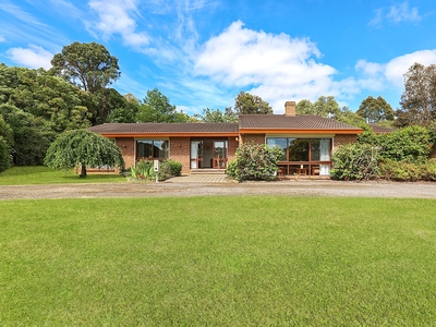 Premium Central Homestead on an Elevated 3/4 of an Acre