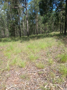 Vacant Land Blackbutt North QLD For Sale At 390000