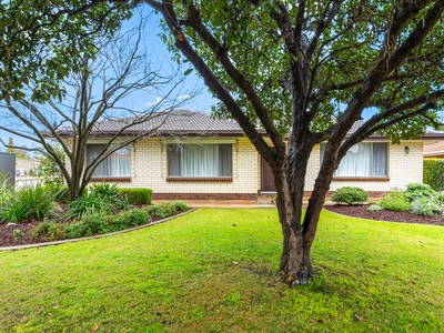 Large Block And Easy-Care Haven In Parafield Gardens