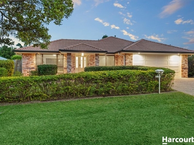17 Drummond Court, North Lakes, QLD 4509