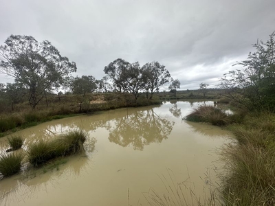 44 Hospital Flat Rd Tingha, Inverell, NSW 2360