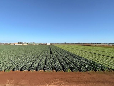Farm Property Werribee South VIC For Sale At