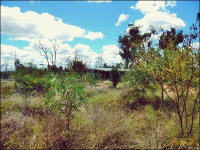 Forest Ridge, QLD 4357