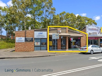 146 Cabramatta Road, Cabramatta, NSW 2166