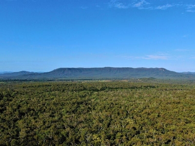 Old Dairy Road, Cooktown, QLD 4895