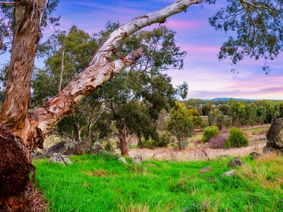 Lifestyle acreage with commanding views over Wagga Wagga